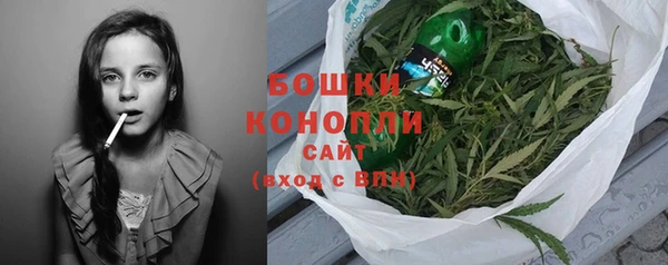 прущие крисы Медвежьегорск
