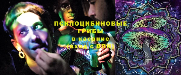 крисы Майский