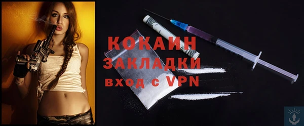 крисы Майский