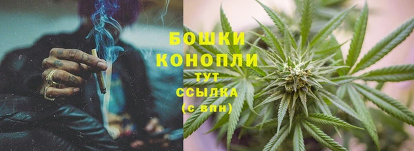 прущие крисы Медвежьегорск