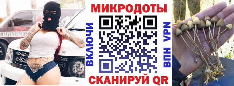 где продают наркотики Отрадная Псилоцибиновые грибы прущие грибы